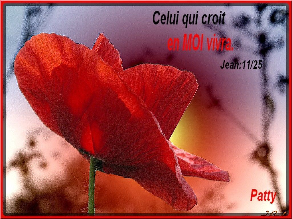 Pour toi Seigneur... - Page 11