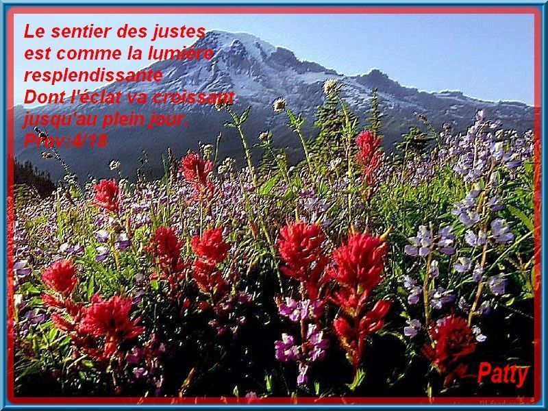 jésus rencontre bartimée